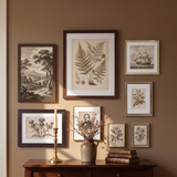 The eight-frame set above a mahogany console in a sunlit entry hall 