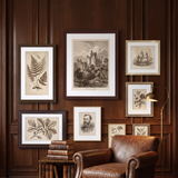 The eight-frame set above a leather club chair in a panelled library 