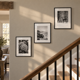 Minimal Stairway Trio (11x14) — Black · 3 Frames — styled on a farmhouse stair wall