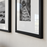Wide Mat Trio 24x30 — Black · 3 Frames — close-up of moulding, mat and glass