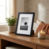 Matted frame console