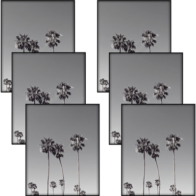 Metropolitan Picture Frame — 8x10 / 6 Pack / Non-Matted