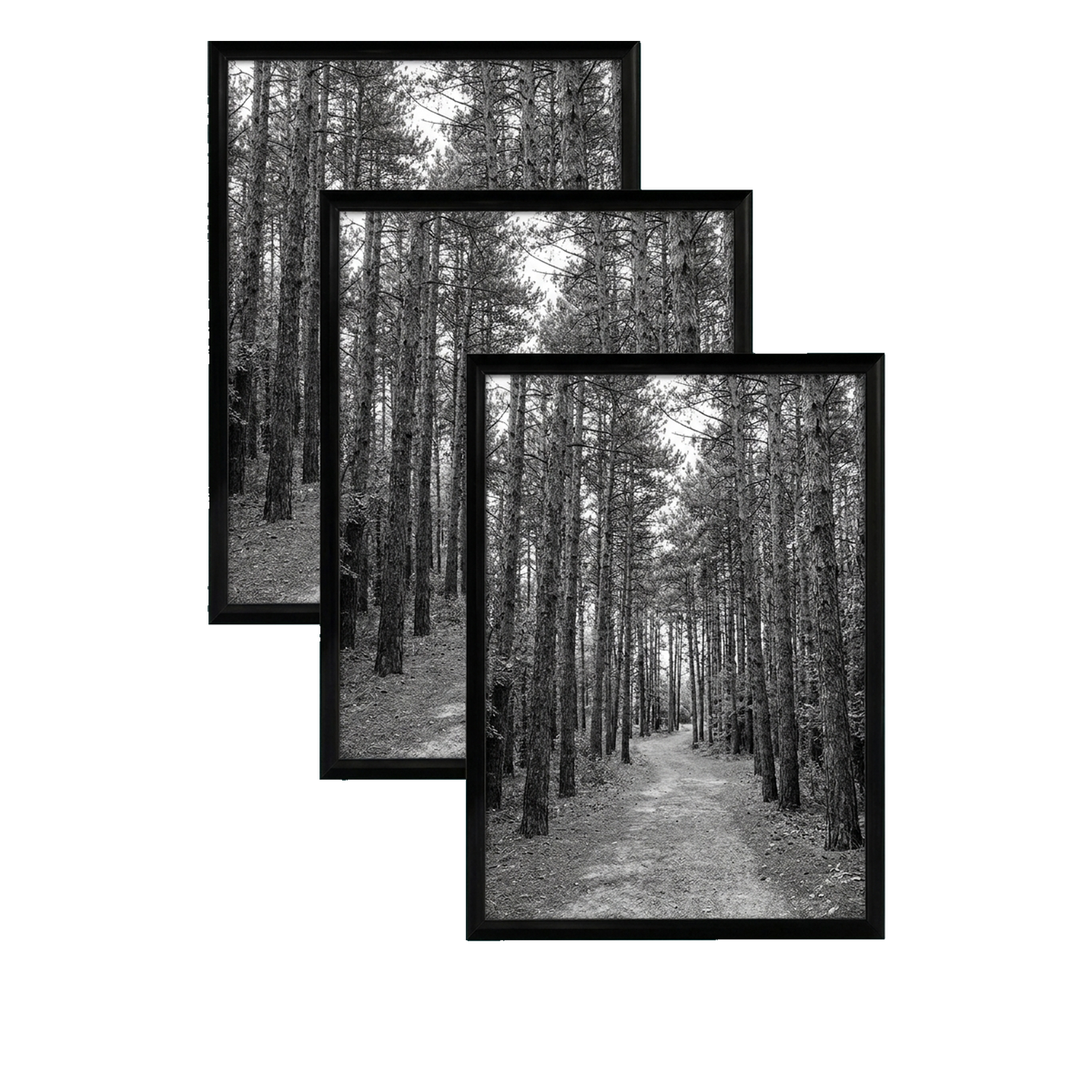 Fusion frame 41116613836870