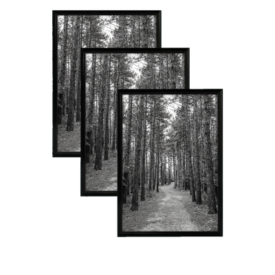 Fusion Picture Frame — 12x18 / Black / 3 Pack
