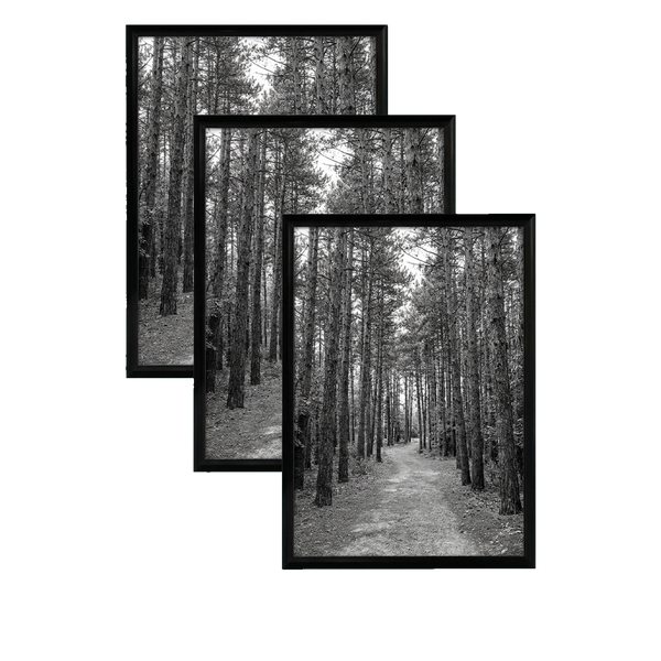 Fusion frame 41116613836870