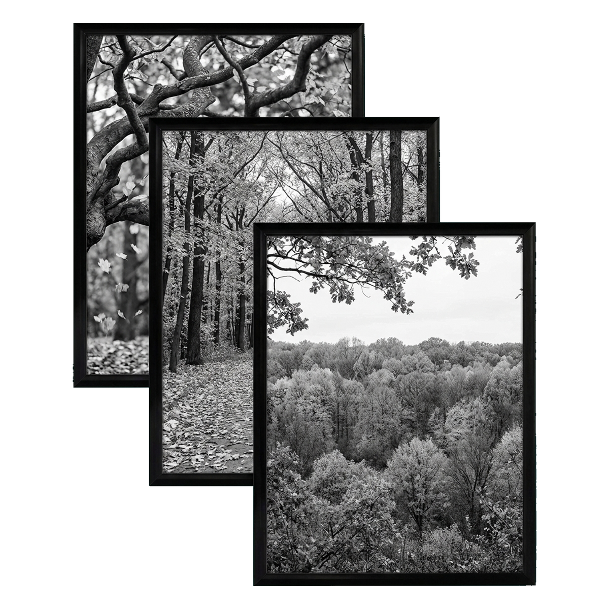 Fusion frame 41116614197318
