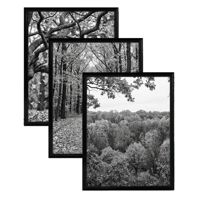 Fusion Picture Frame — 20x24 / Black / 3 Pack