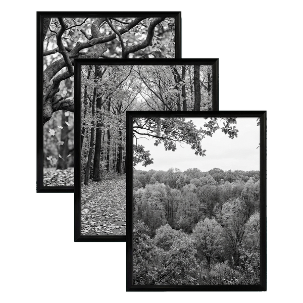 Fusion frame 41116614197318