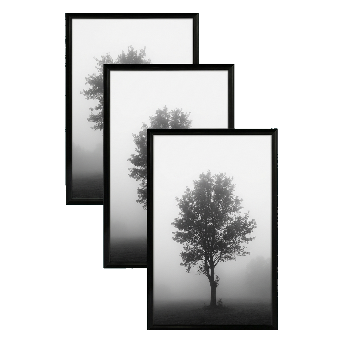 Fusion frame 41116614000710