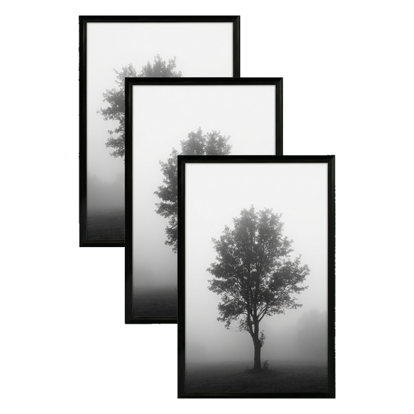 Fusion frame 41116614000710