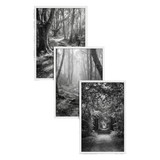 Fusion frame 44937190015046