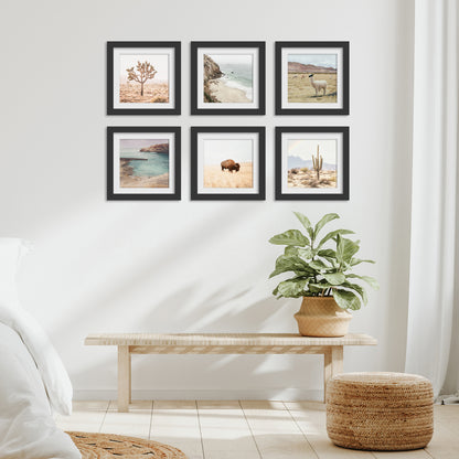 Organic Six Canvas - White Framed Photo Gallery Wall