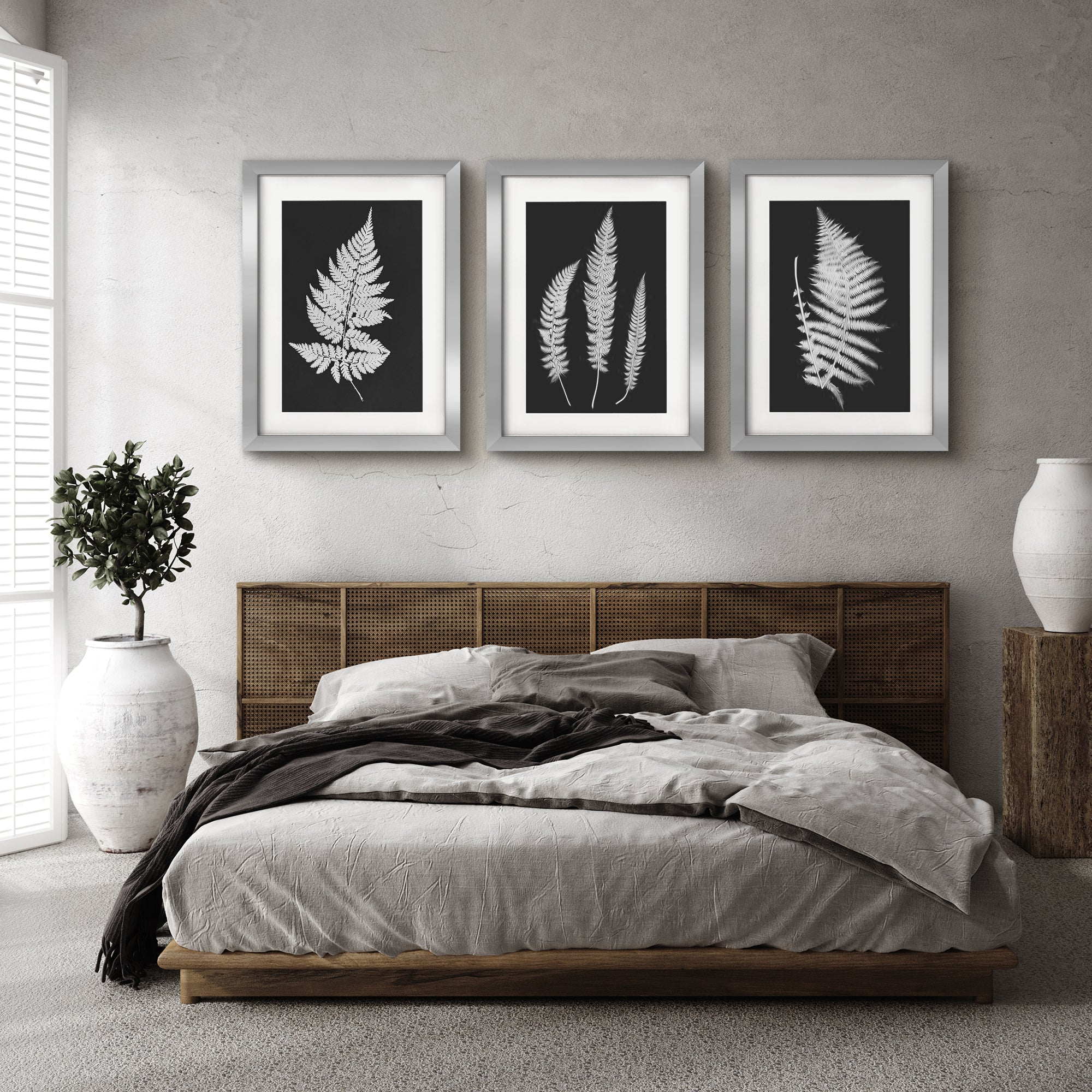 Black and White Botanicals by Chaos & Wonder Design - 3 Piece Gallery  Framed Print Art Set