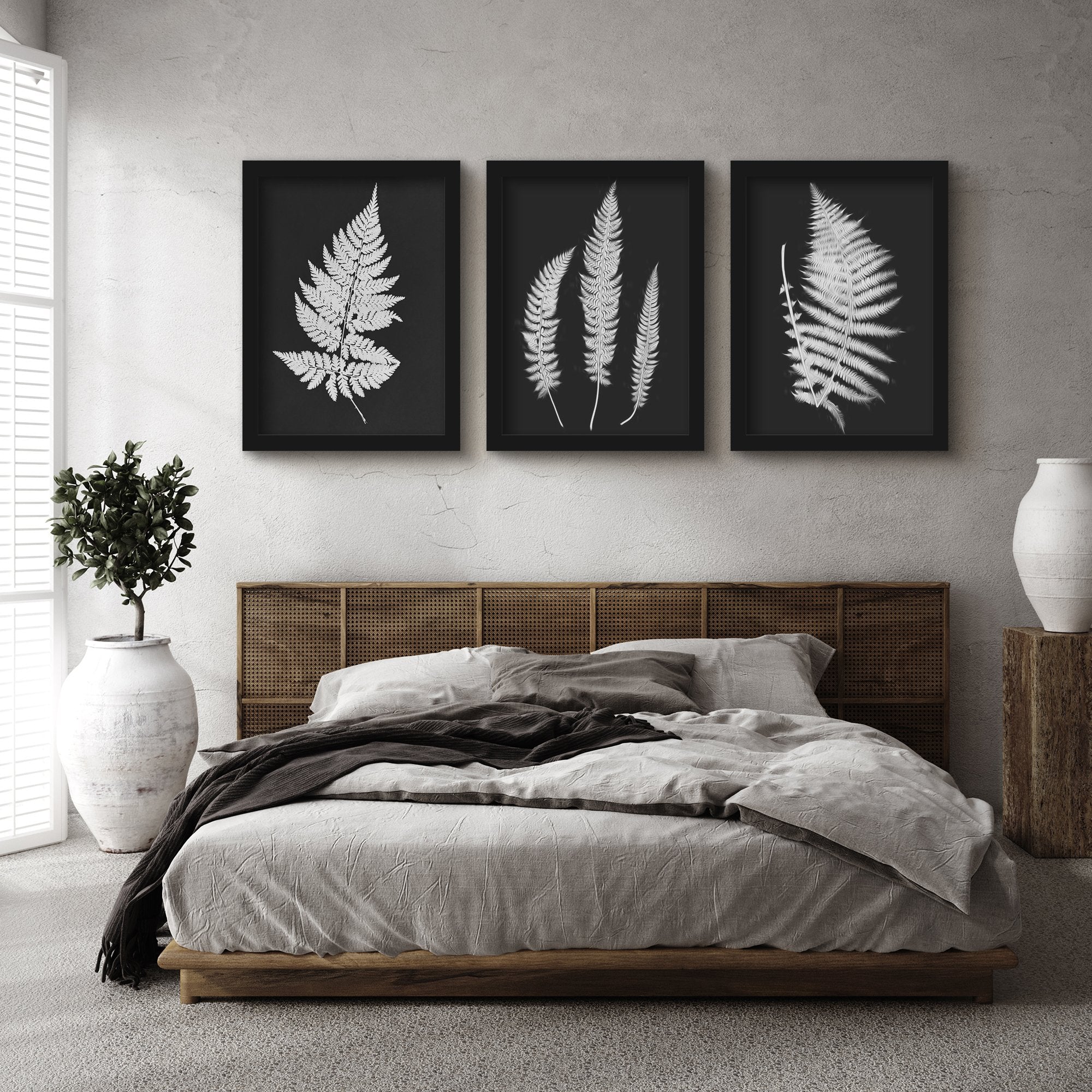 Black and White Botanicals by Chaos & Wonder Design - 3 Piece Gallery  Framed Print Art Set