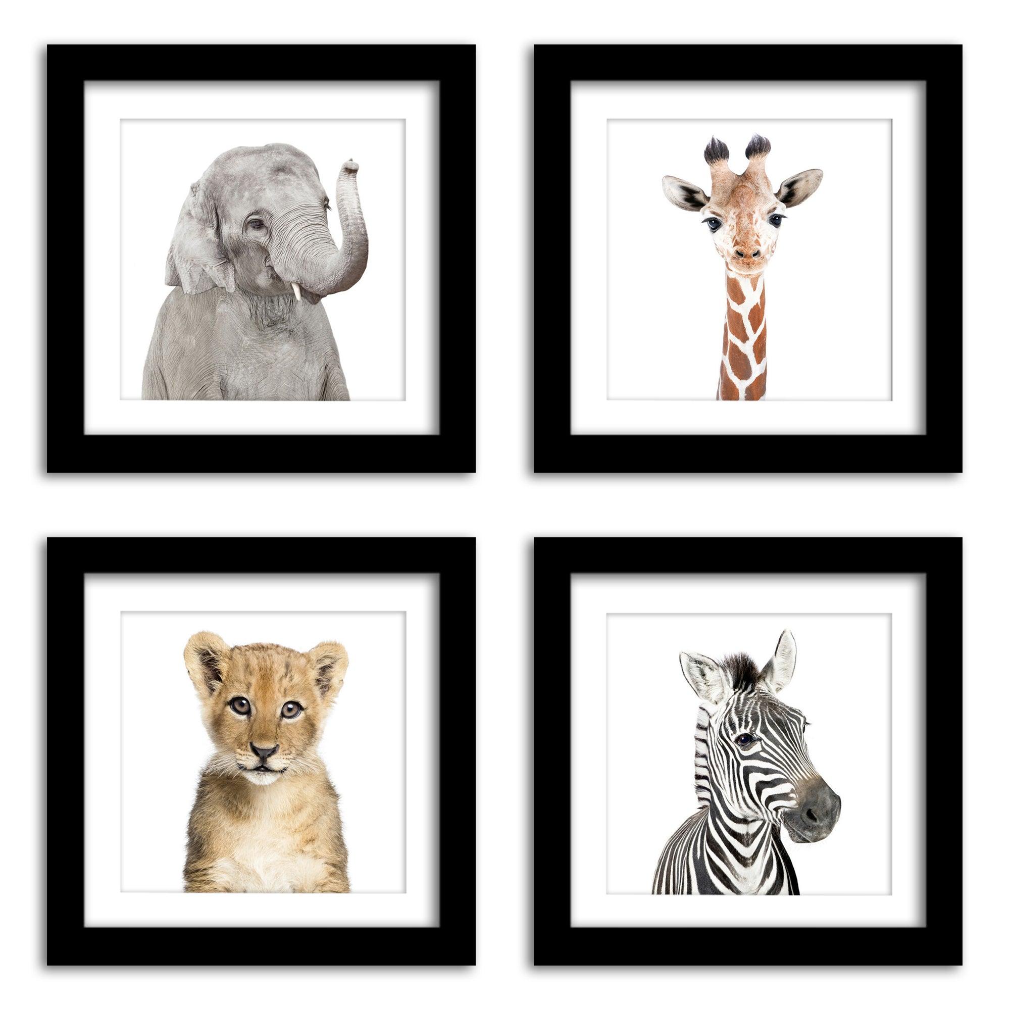 Baby animal framed store pictures