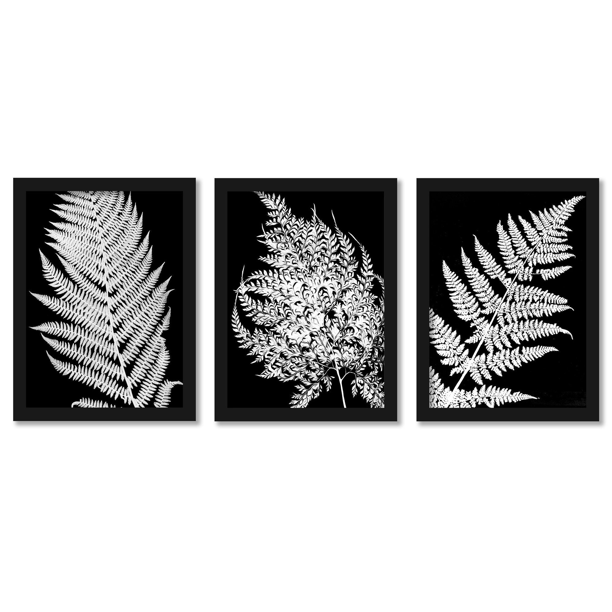 Ferns In White by Chaos & Wonder Design - 3 Piece Gallery Framed Print Art  Set