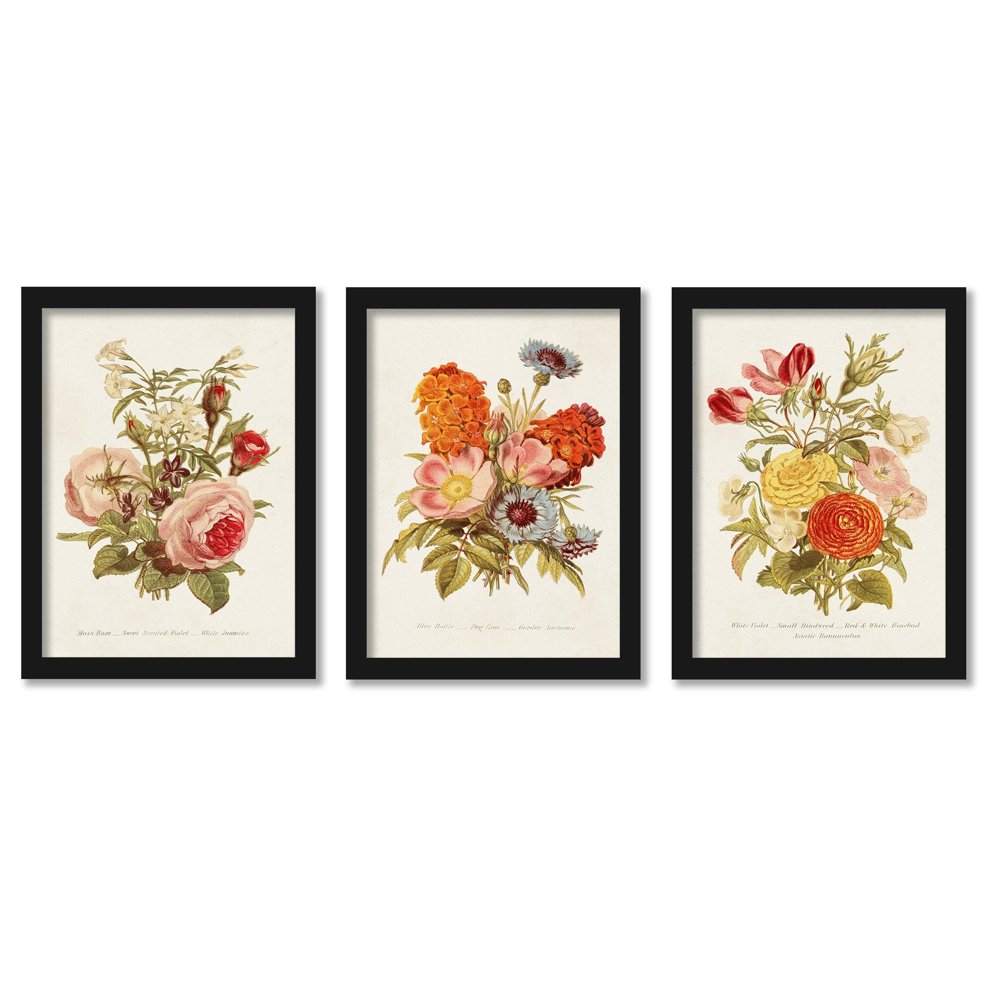 Antique Floral Bouquet by World Art Group. - 3 Piece Gallery Framed Print  Art Set