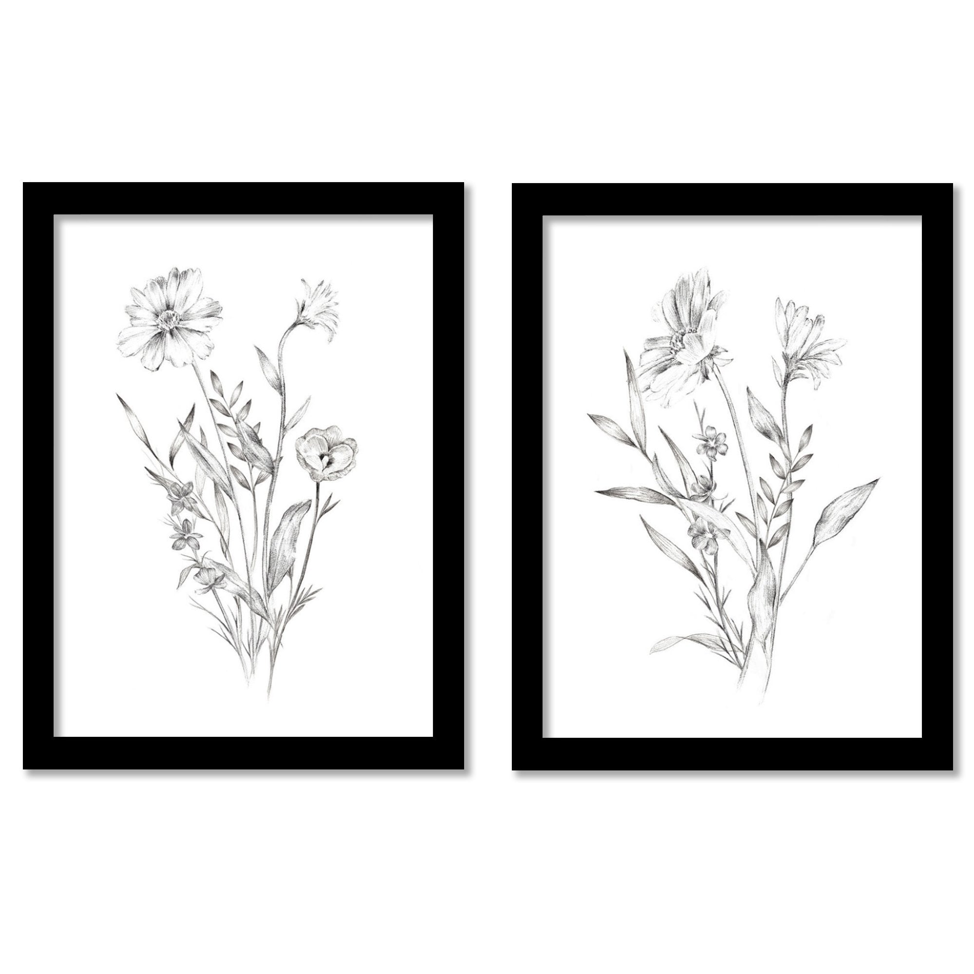 Blooming Sketch 1 Framed Print  Pottery Barn