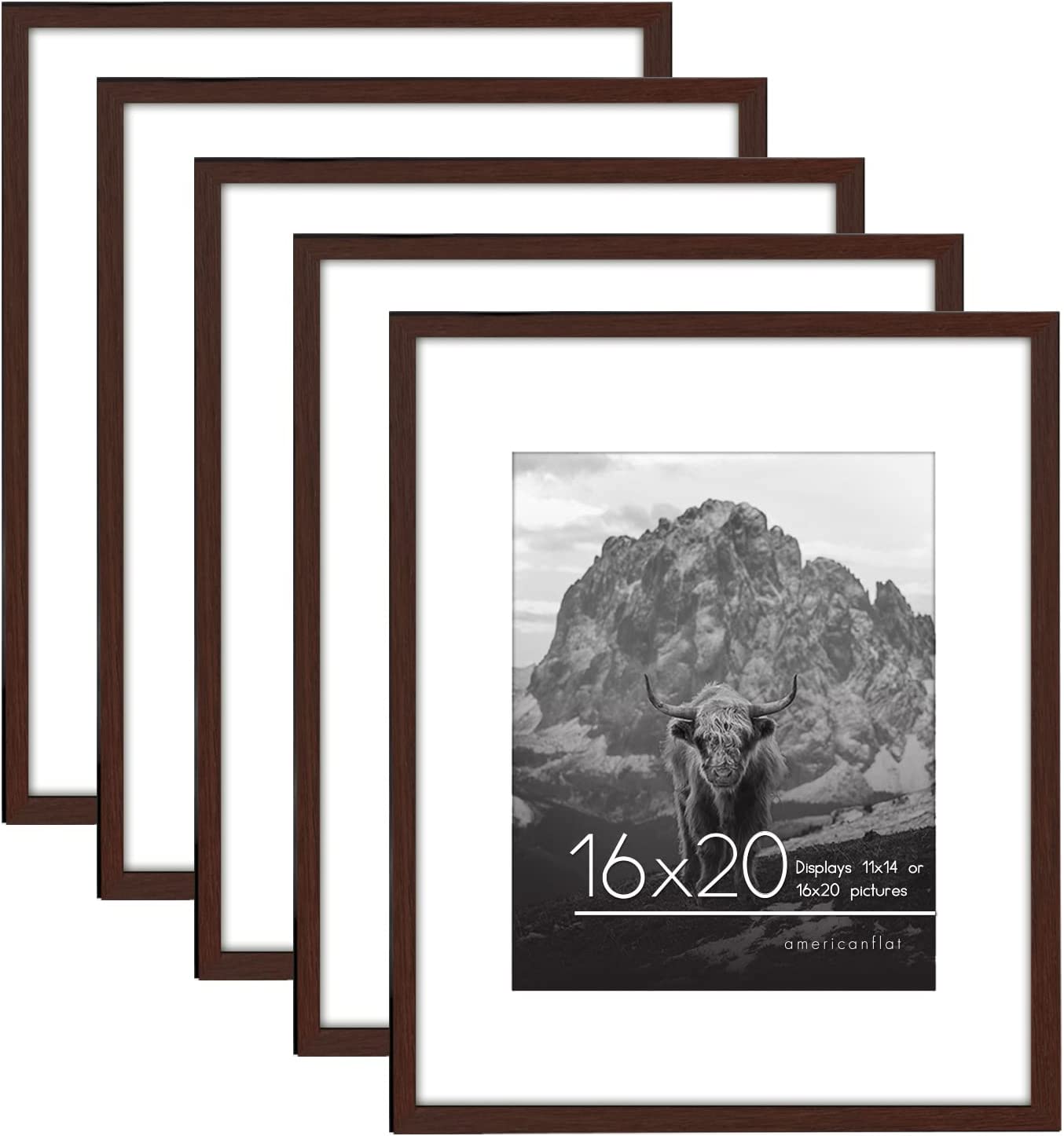 Picture Frame - Set of 5 Frames - Variety of Sizes and Colors
