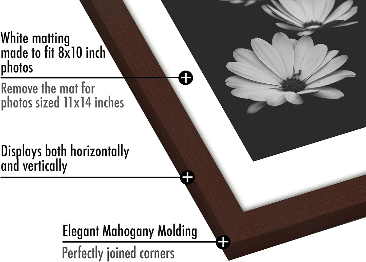 Picture Frame - Set of 5 Frames - Variety of Sizes and Colors