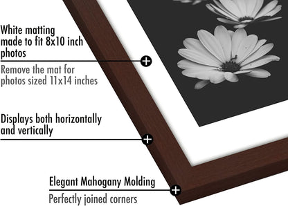 Picture Frame - Set of 5 Frames - Variety of Sizes and Colors