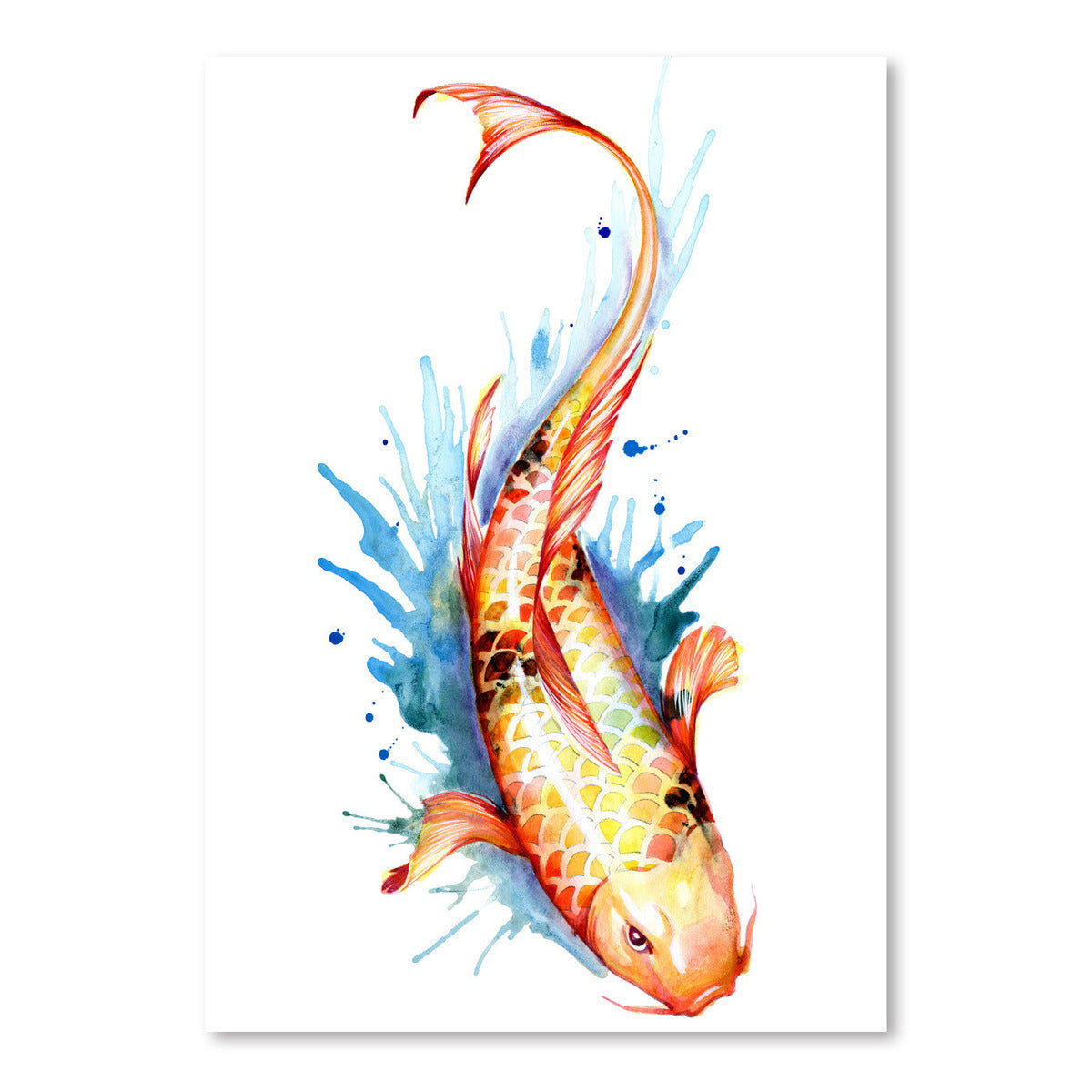2 koi fish drawing color