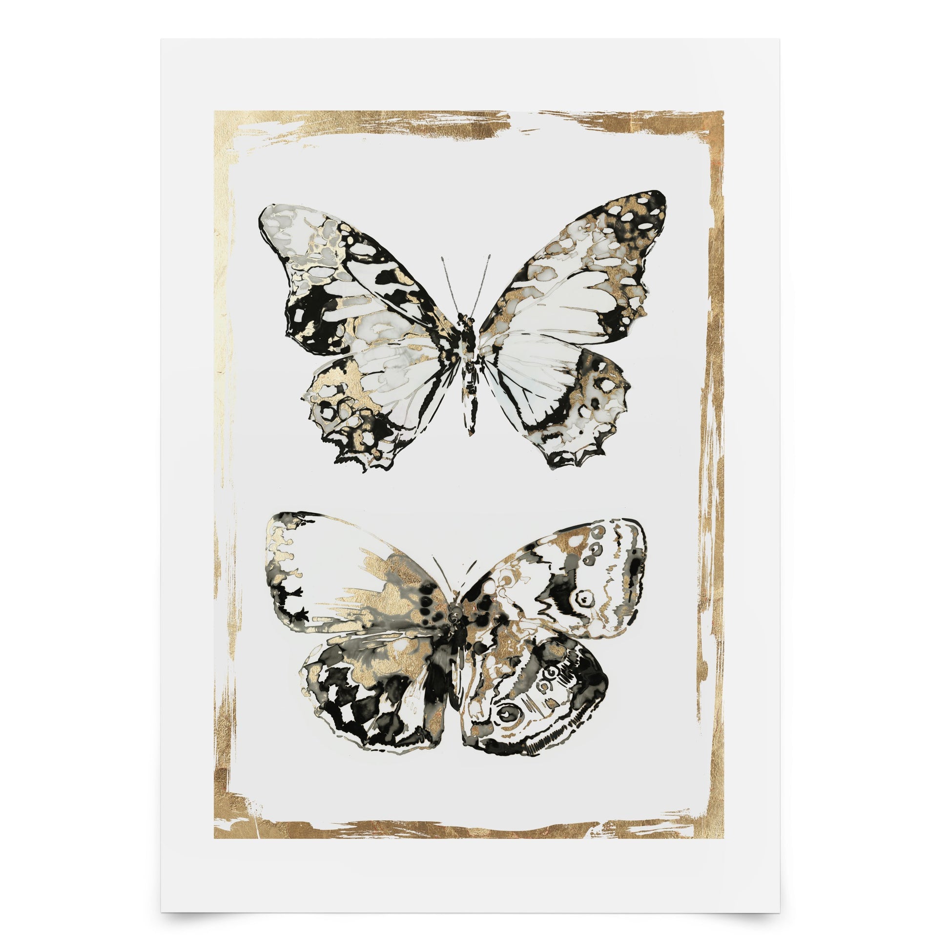 Butterfly Art  Wall Art Prints