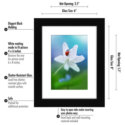 Americanflat Picture Frame | Includes Mat | 4 Multipack | Classic Molding | Signature Collection