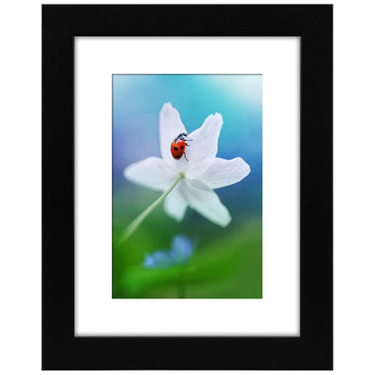 Americanflat Picture Frame | Includes Mat | 4 Multipack | Classic Molding | Signature Collection