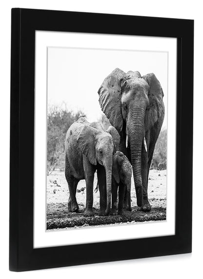 Americanflat Picture Frame | Includes Mat | 4 Multipack | Classic Molding | Signature Collection