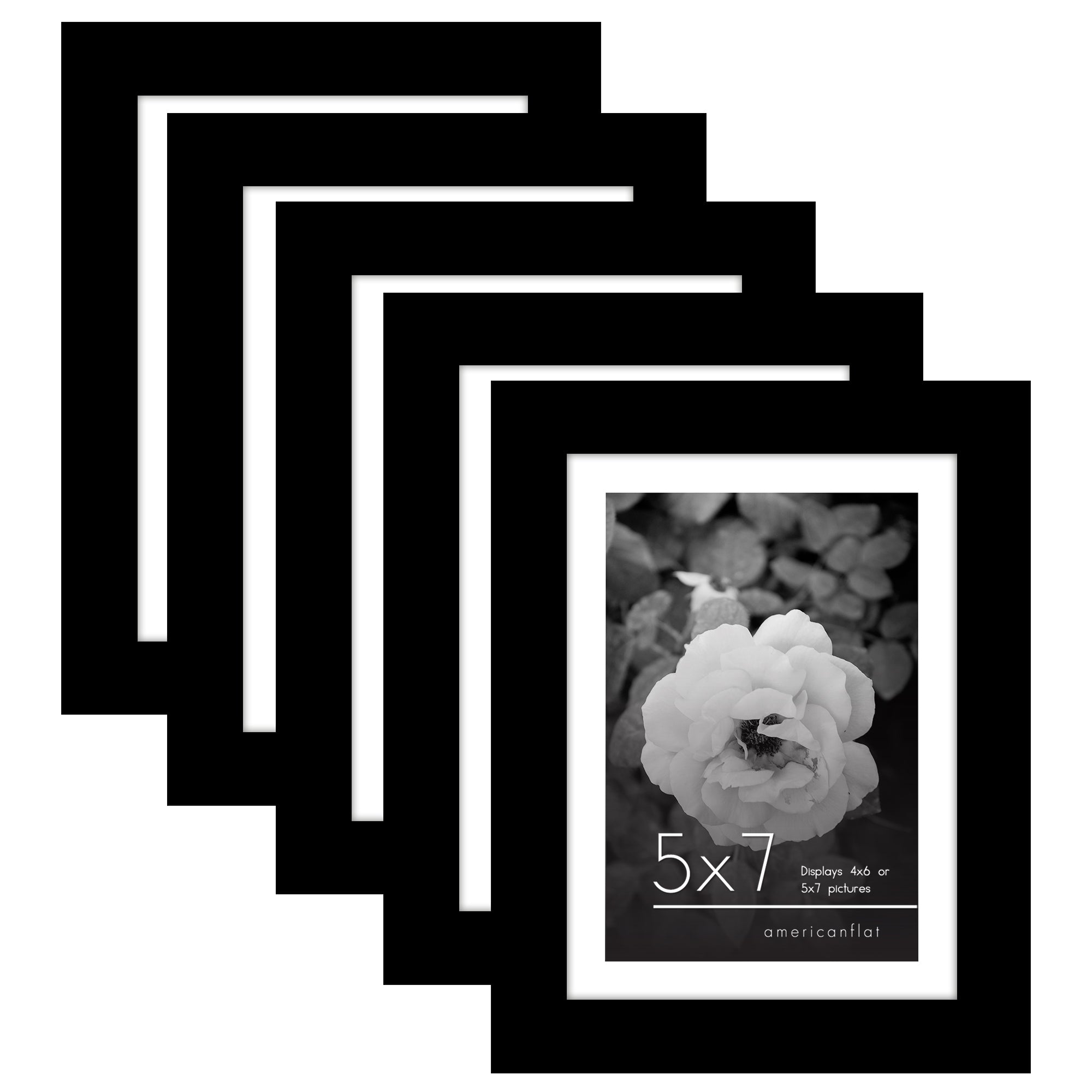 Americanflat Framed Black Rose Illustrations Prints White Finish Gallery Wall Kit with Mat - 16x20 Inch Set of 3 Framed Pictures Wall Art For Home Off Set of 5 - Classic Gallery Picture Frame with Mat | Galleria