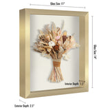 Size diagram of the gold shadow box: 11 by 14 inch glass, 1.5 inch interior depth 